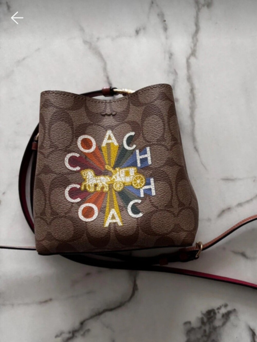 Coach Mini Town Bucket Bag